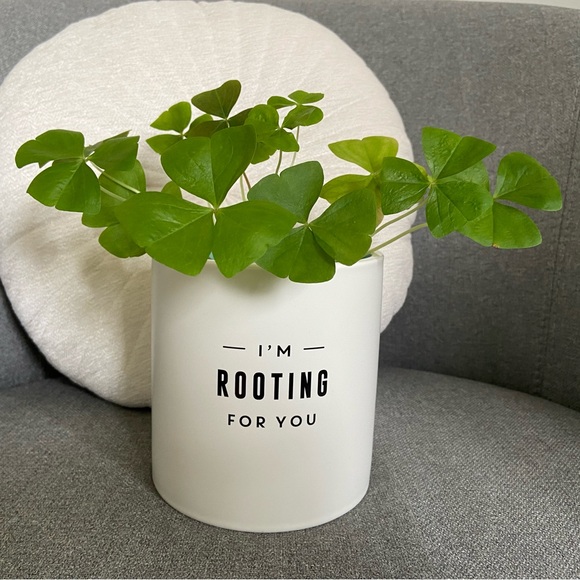 I’m Rooting For You Plant Pot - Picture 4 of 4